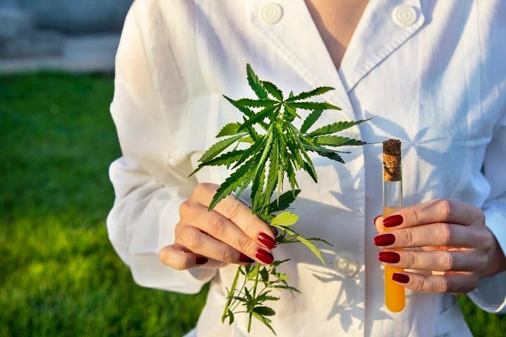 TERPENOS Y FLAVONOIDES 2 Najpowszedniejsze terpeny występujące w ekstrakcie CBD