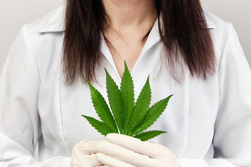 TERPENOS Y FLAVONOIDES 3 Flawonoidy