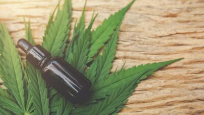 CBD-odpornosc