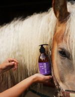 BODY-OIL-FIOLET3