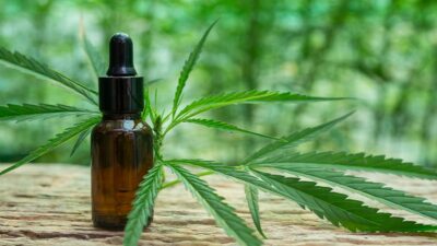 CBD skuteczne panaceum na chorobę XXI wieku przewlekły stres